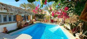 Surfers-Lounge-Dahab Lagoon with Swimming-Pool - Breakfast - Garden - Beduintent - BBQ - Jacuzzi